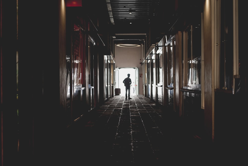 silhouette of man walking on isle