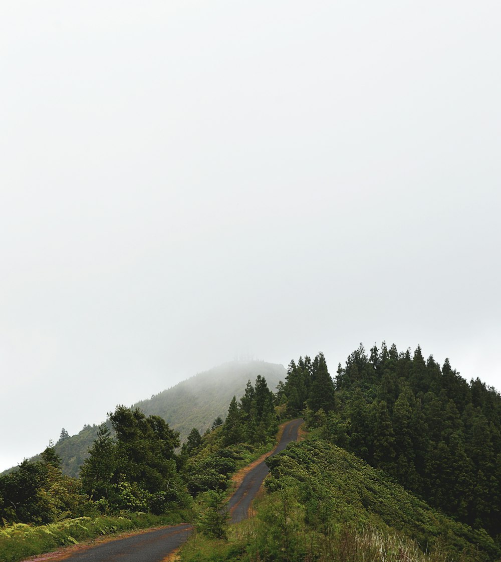 chaînes de montagnes couvertes de brouillard blanc