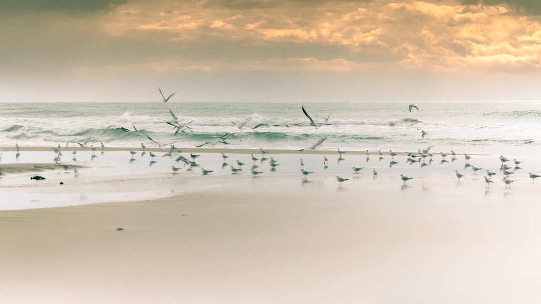 photo of Donnalucata Shore near Donnafugata