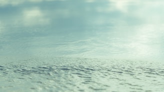 Calm waters representing peace and mindfulness.