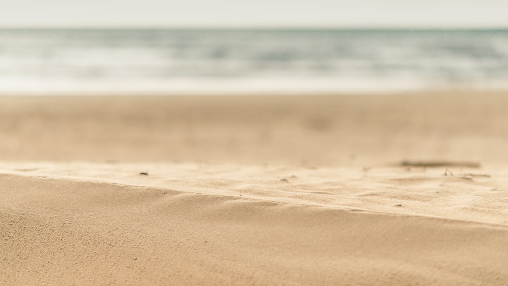 모래의 얕은 초점 사진