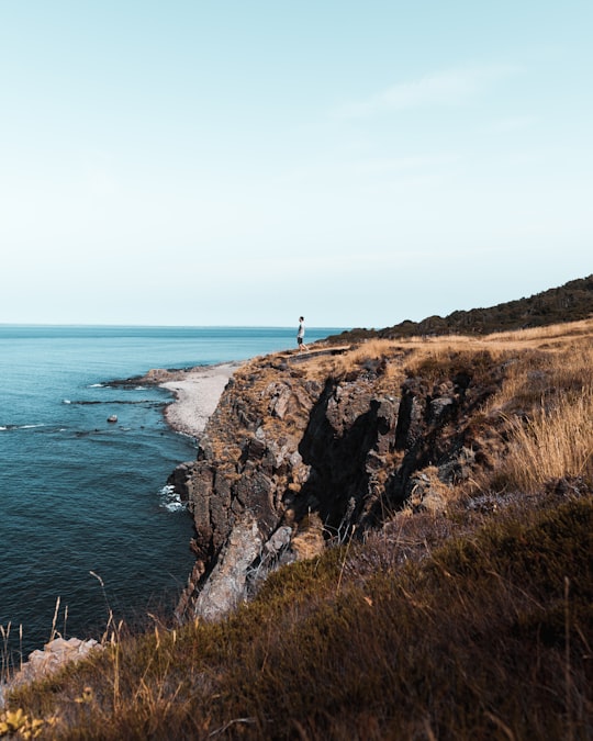 Hovs Hallar Nature Reserve things to do in Mölle