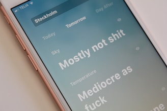 A smartphone is displaying a weather forecast for Stockholm with informal language. The main section visible says 'Mostly not shit' under the sky condition and 'Mediocre as fuck' under temperature.