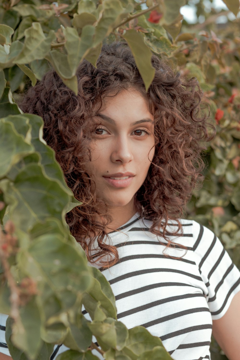 mulher em pé ao lado da planta de folhas verdes