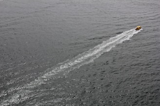 A dynamic shot of a sport boat in action, showcasing its speed.