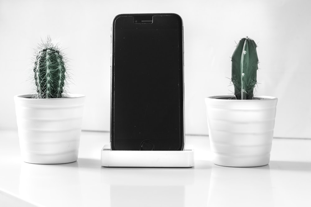 post-2016 iPhone near cactus plants