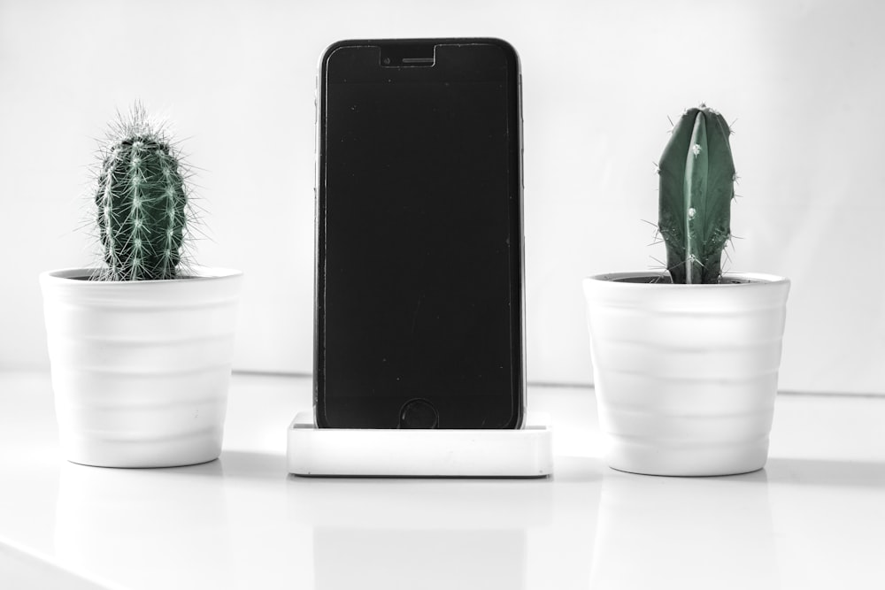 iPhone post-2016 vicino alle piante di cactus