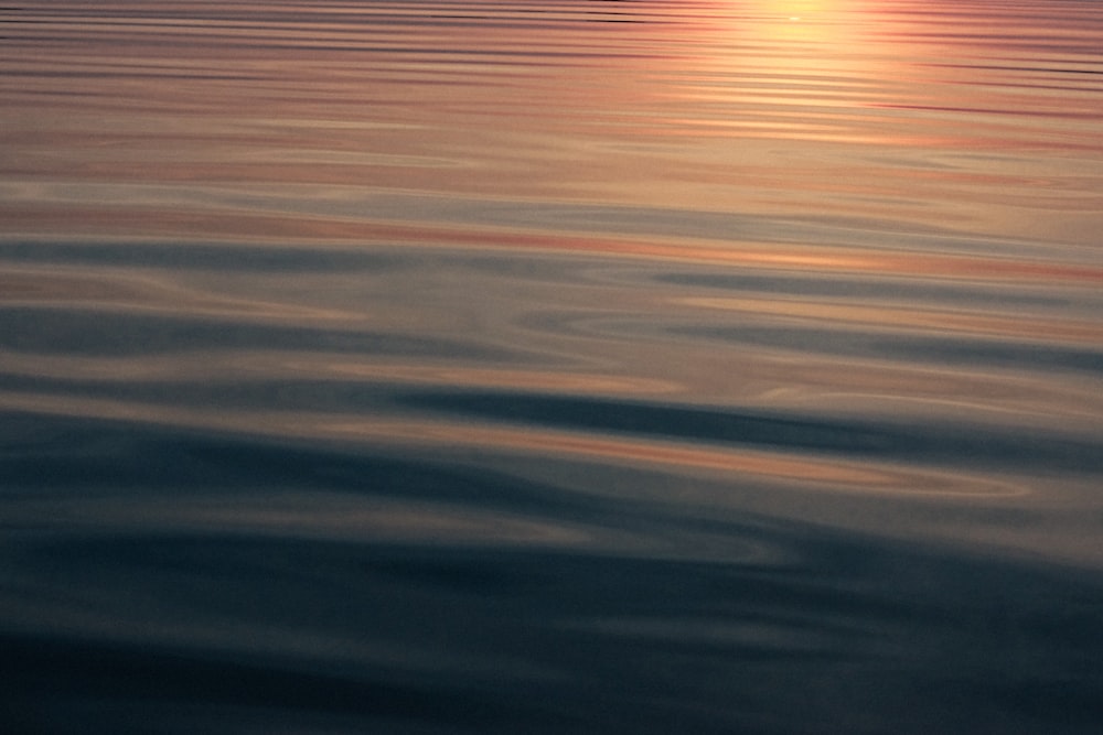 photography of body of water