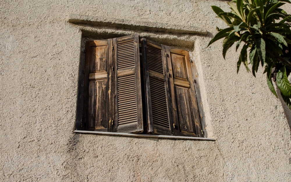 brown wooden window near green leafed tree