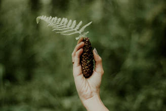 person holding fern