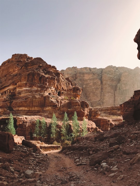 brown canyon during daytime in Petra Jordan