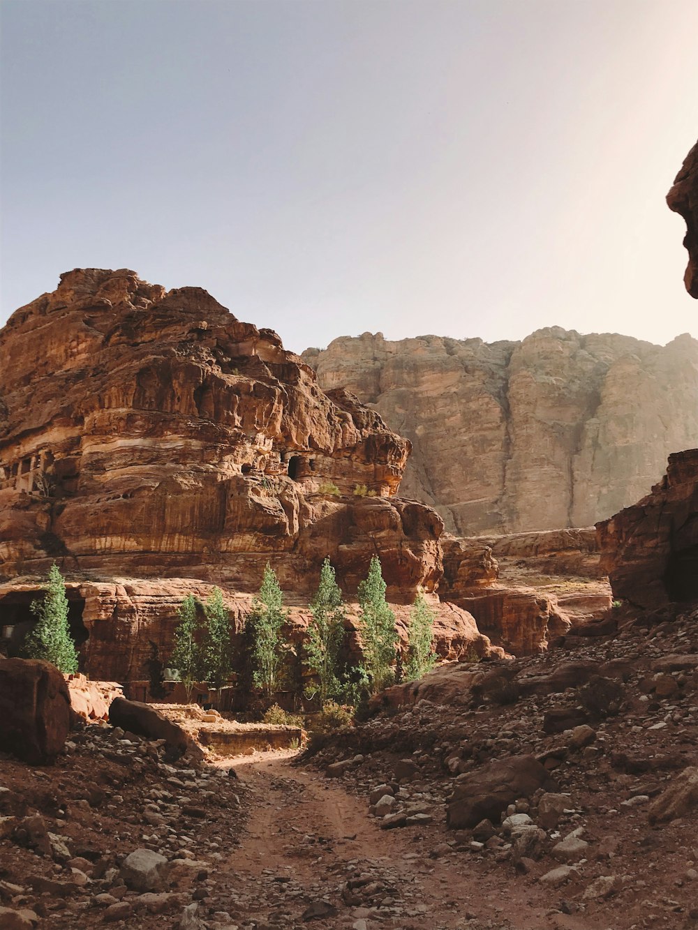 brown canyon during daytime