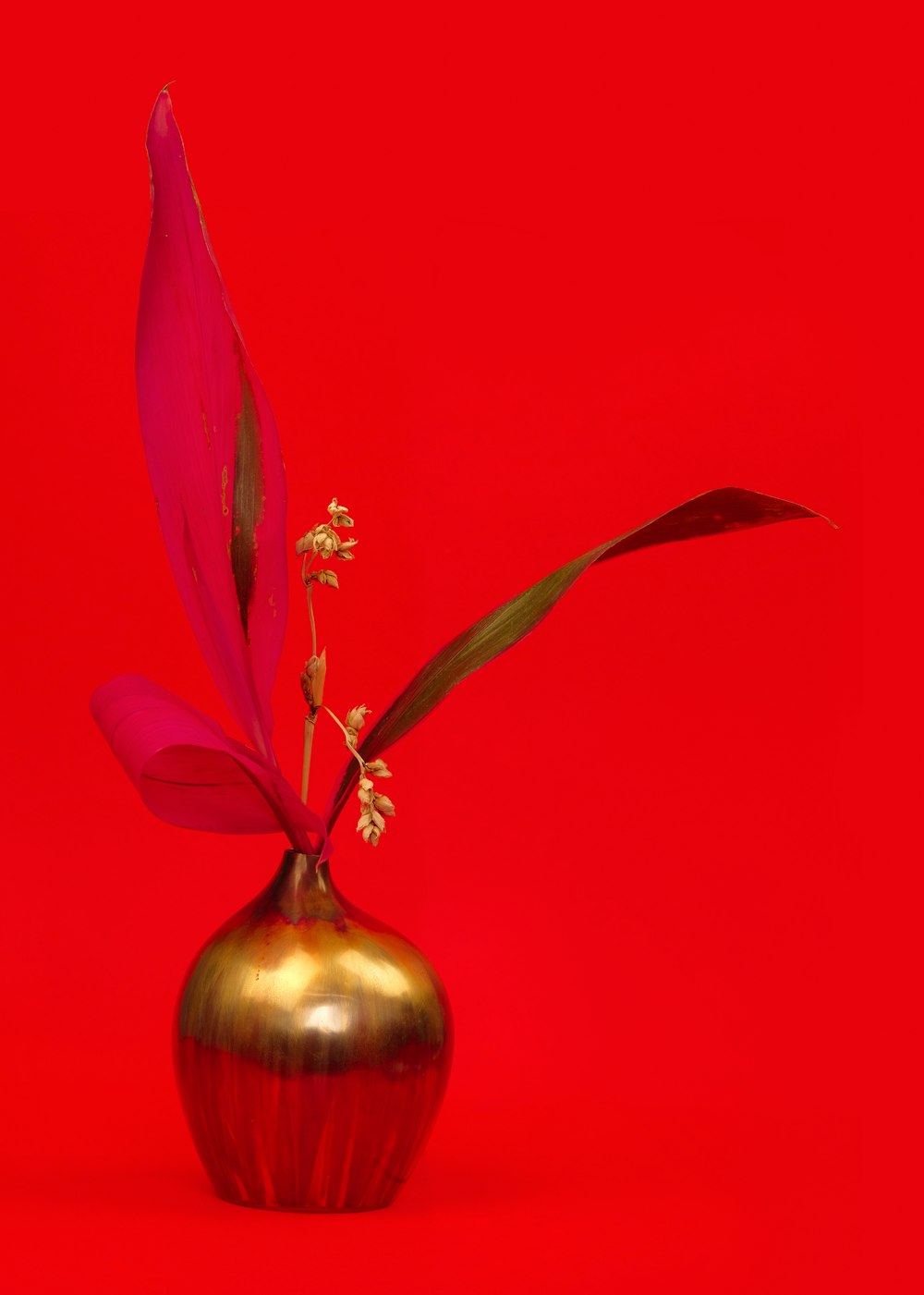 white flowers in gold vase