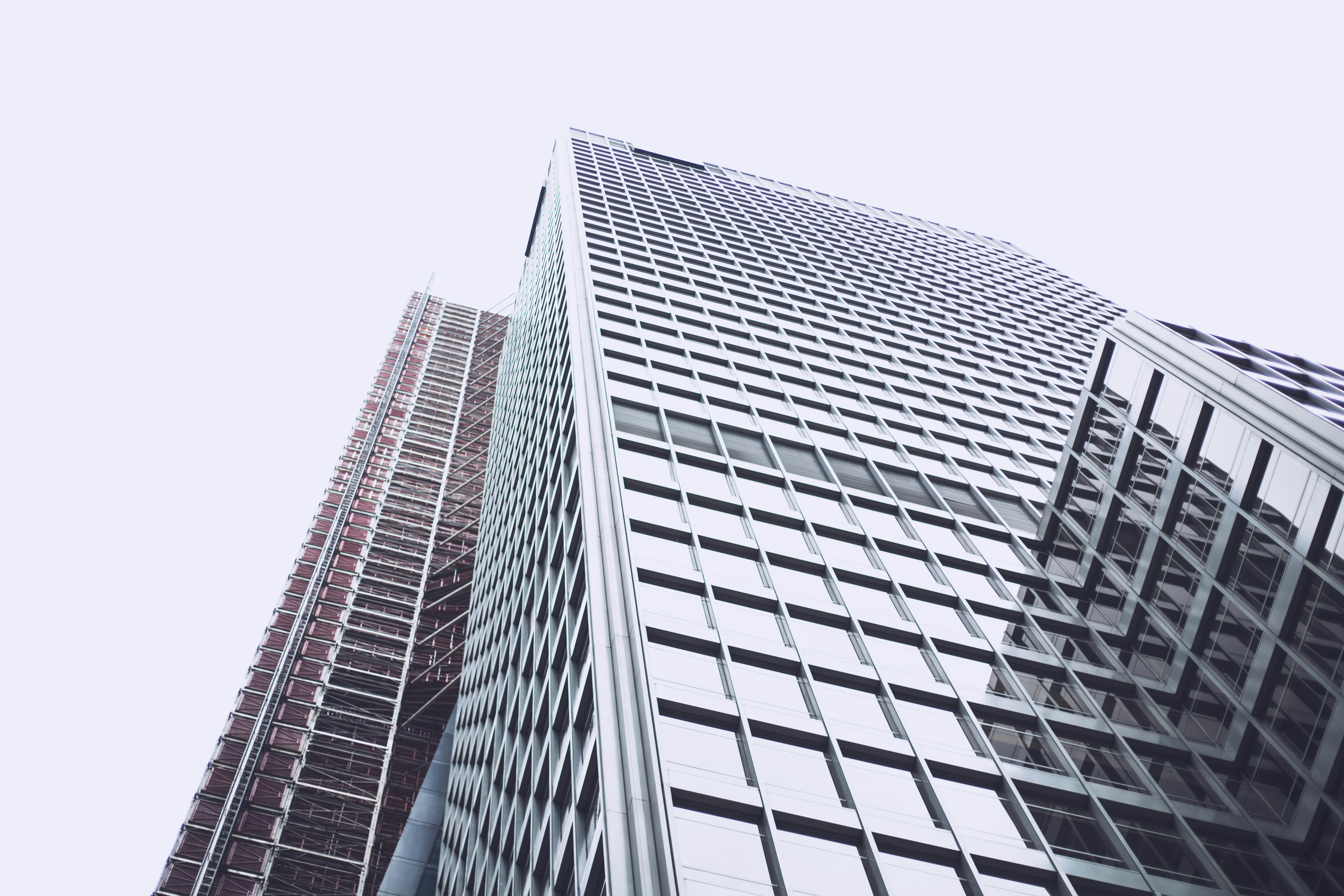 Photo by _maxxmiller