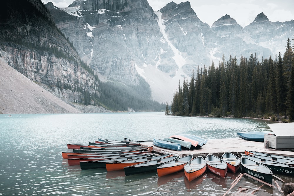 assorted-color boats on body of water