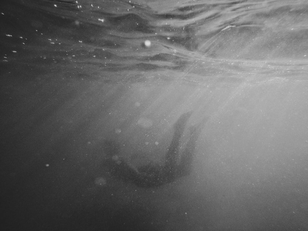 person swimming underwater