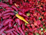 red chili