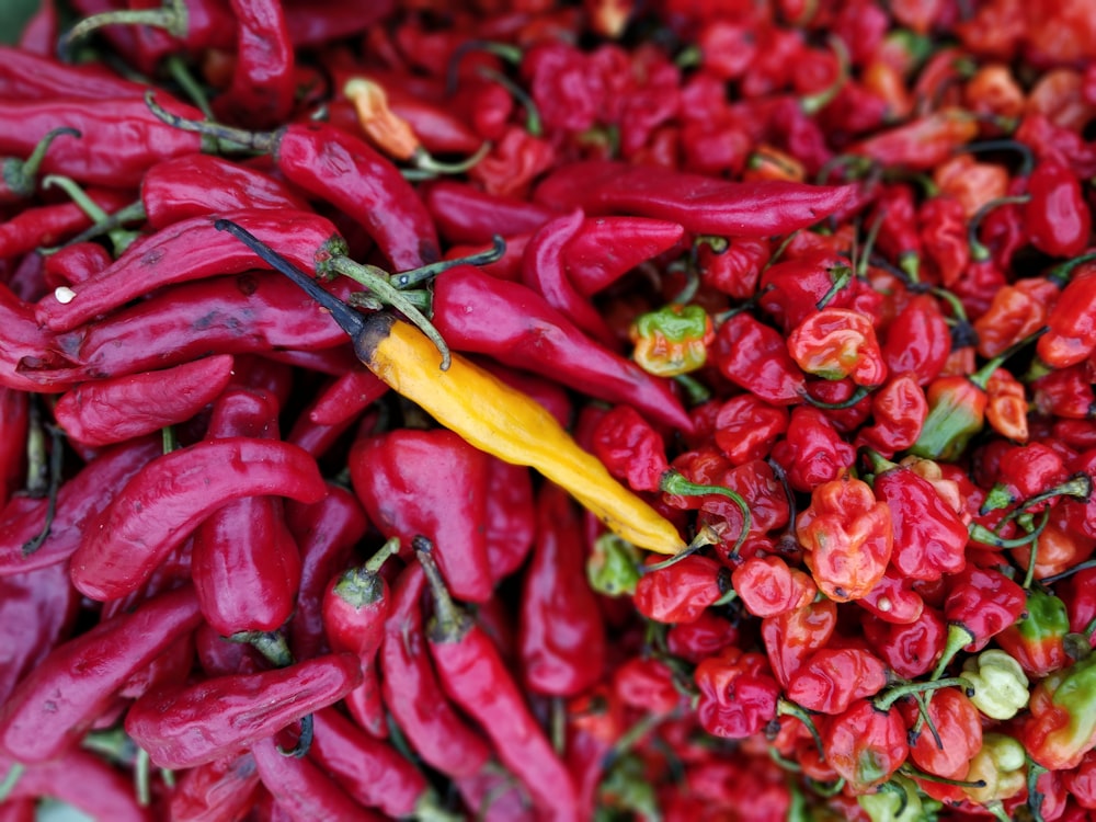 red chili