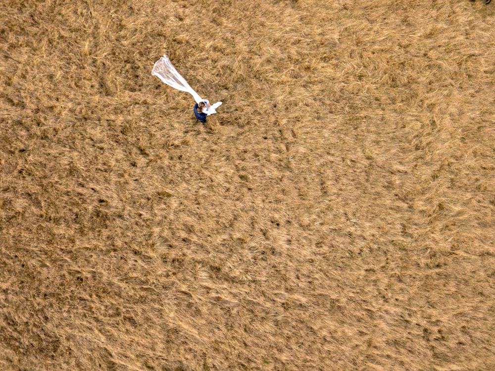an aerial view of a kite being flown in a field