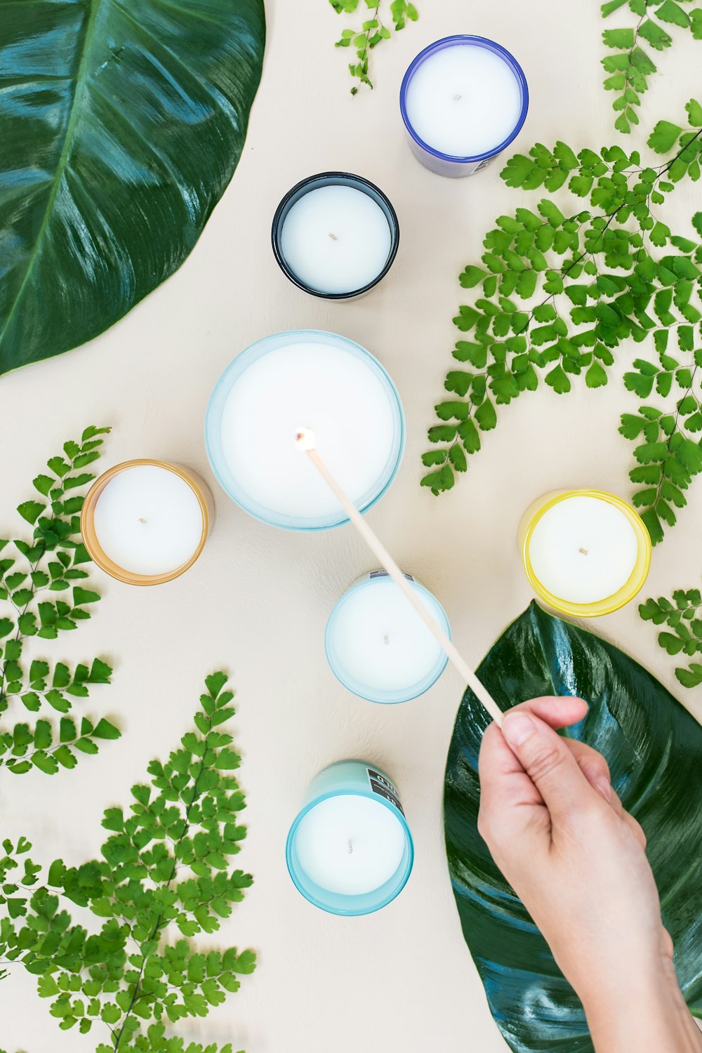 candles near green plants