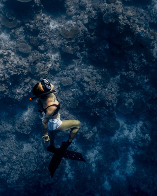 woman doing diving in Apo Reef Natural Park Philippines