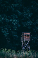 A watchtower standing tall in a remote forest area, used for early fire detection.