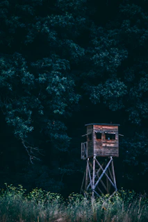 A watchtower standing tall in a remote forest area, used for early fire detection.