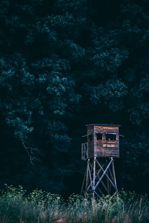 A wooden watchtower stands alone in a dense forest, surrounded by tall grass and lush, dark green foliage. The structure is elevated on stilts and has two visible rectangular windows, giving it a rustic appearance.