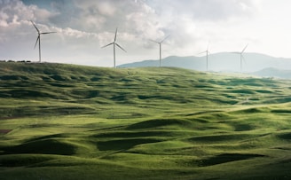 wind turbine surrounded by grass