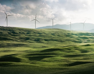 wind turbine surrounded by grass