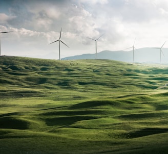 wind turbine surrounded by grass