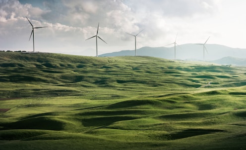 wind turbine surrounded by grass