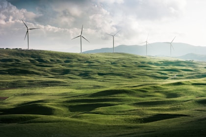 Senate Passes Massive Infrastructure Bill for Green Energy Initiatives