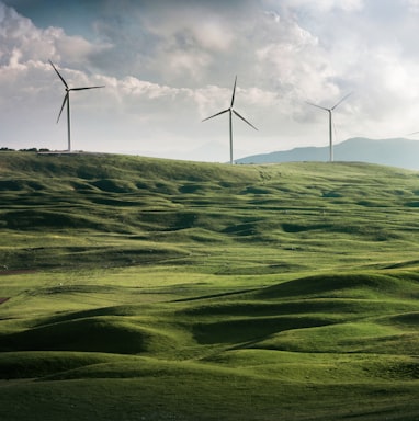 wind turbine surrounded by grass