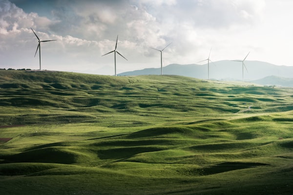 Azure und der Green Deal: Wie Unternehmen in Österreich von nachhaltigem Cloud-Computing profitieren können