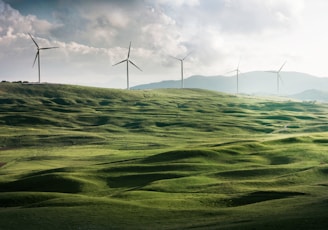 wind turbine surrounded by grass