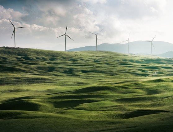 wind turbine surrounded by grass