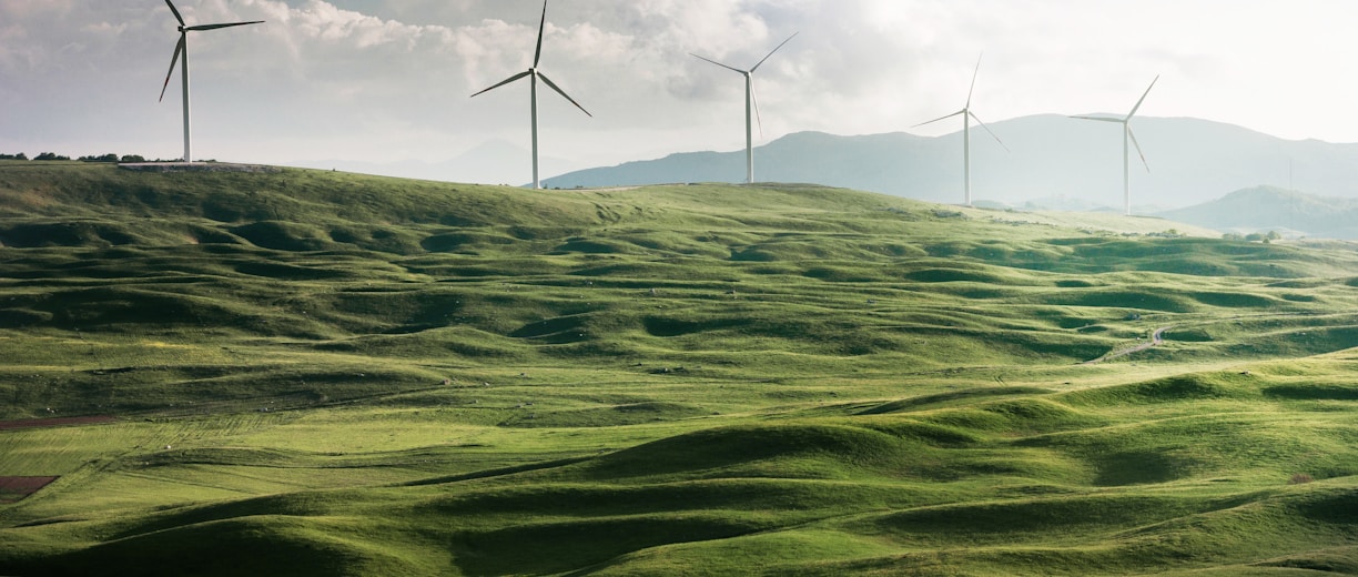 wind turbine surrounded by grass