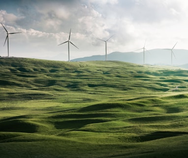 wind turbine surrounded by grass