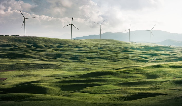 wind turbine surrounded by grass