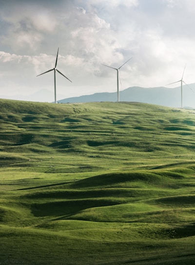 wind turbine surrounded by grass