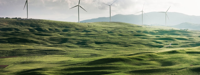 wind turbine surrounded by grass