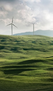 wind turbine surrounded by grass