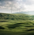 wind turbine surrounded by grass