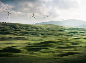 wind turbine surrounded by grass