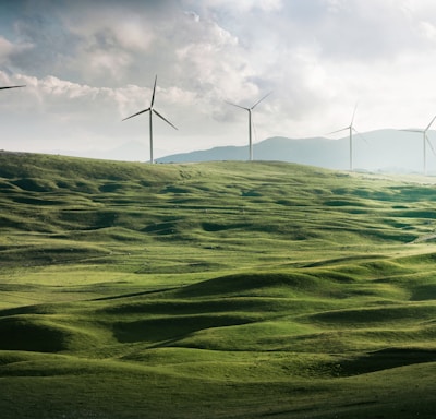 wind turbine surrounded by grass