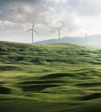 wind turbine surrounded by grass