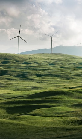 wind turbine surrounded by grass