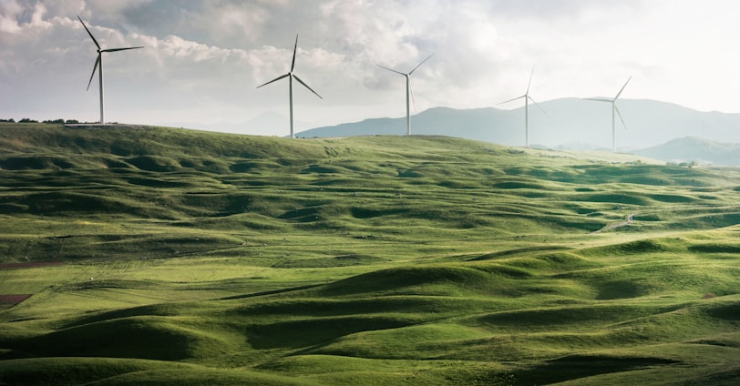 wind turbine surrounded by grass