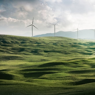 wind turbine surrounded by grass